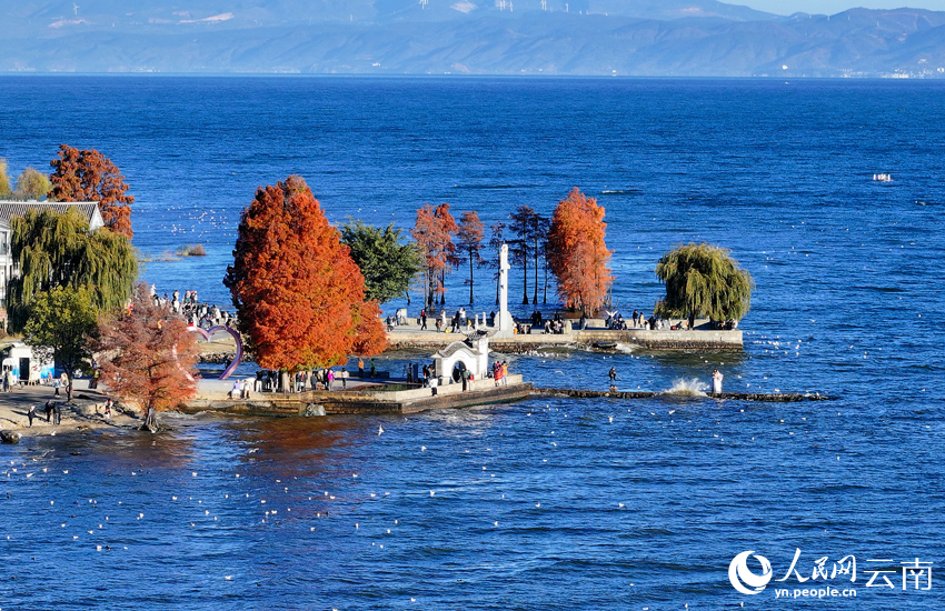 Complete Yunnan Travel Guide 2026