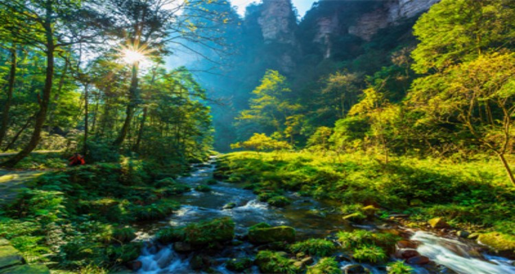 6-Day Zhangjiajie & Western Hunan In-depth Tour (Official Website English Version) Route Overview